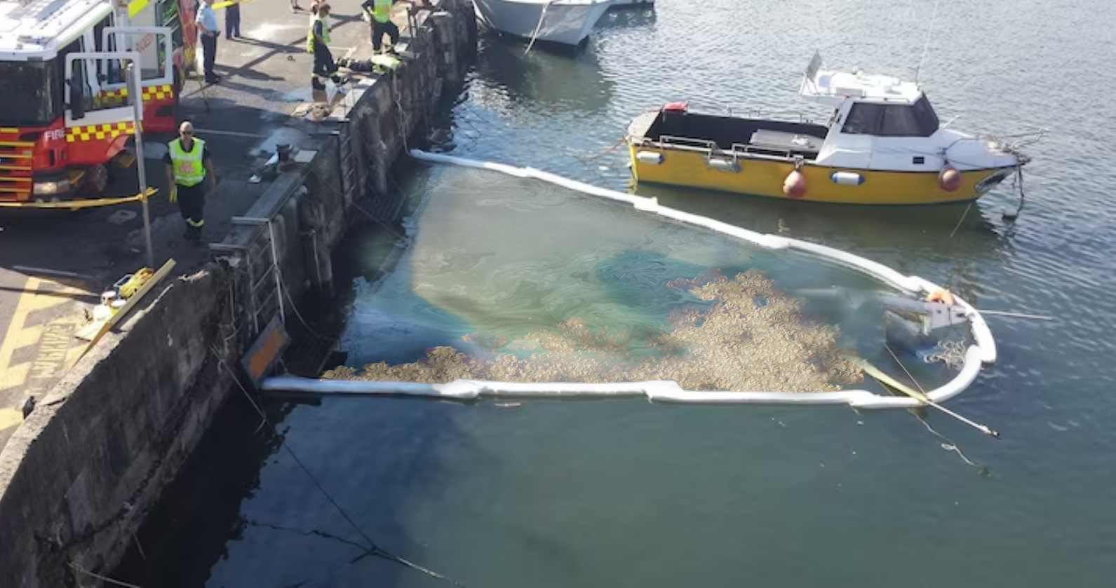 oil spill in harbour